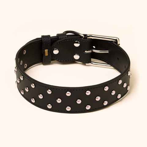 2 Wide Leather Dog Collar Thick Studded Heavy Duty for Large Dogs