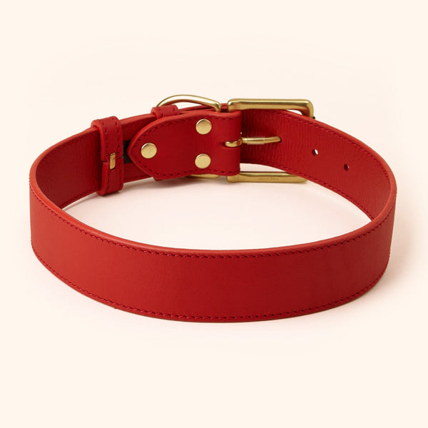 Wide Leather Dog Collar - Genuine Canine