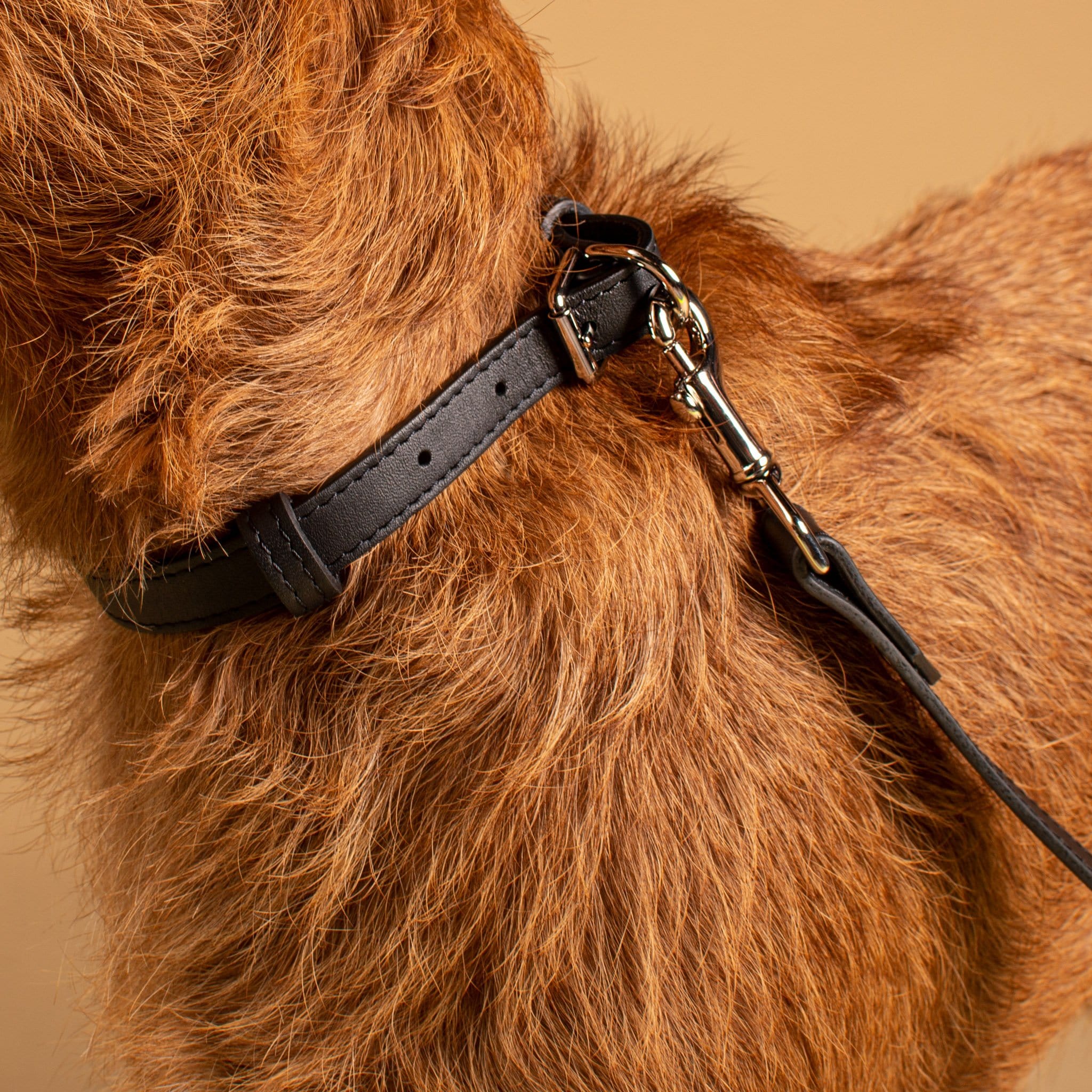 Original Leather Leash - Genuine Canine