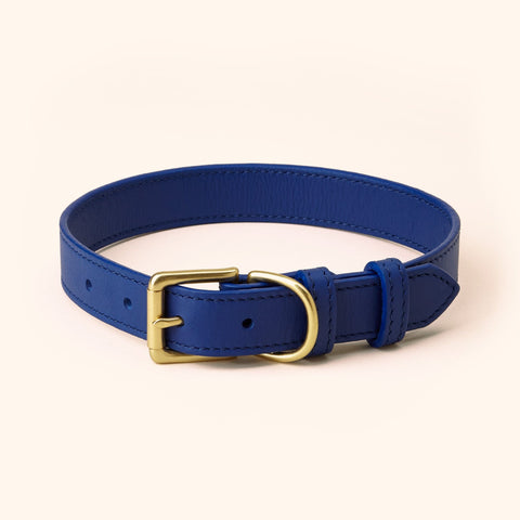 blue dog collar