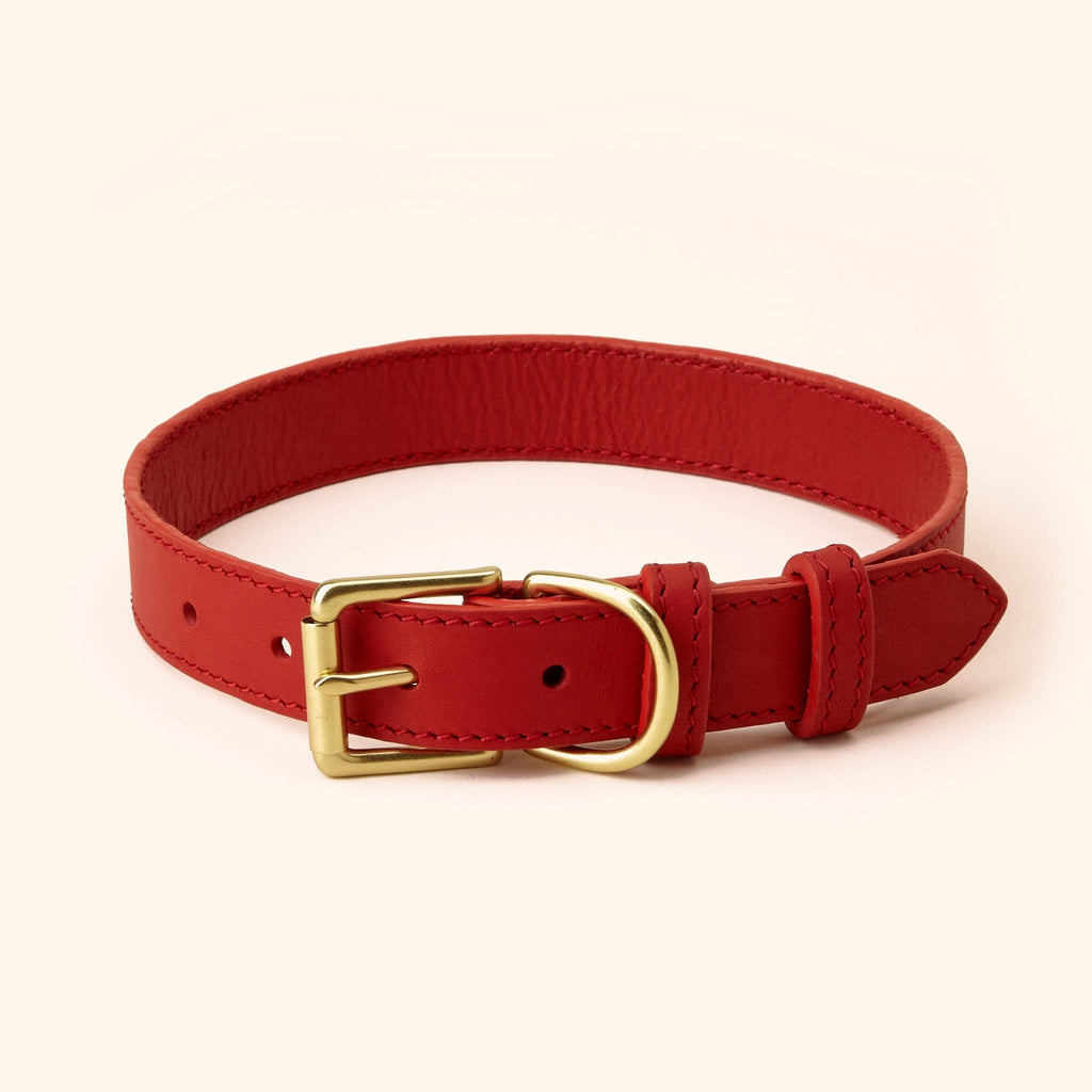 Signature Leather Dog Collar