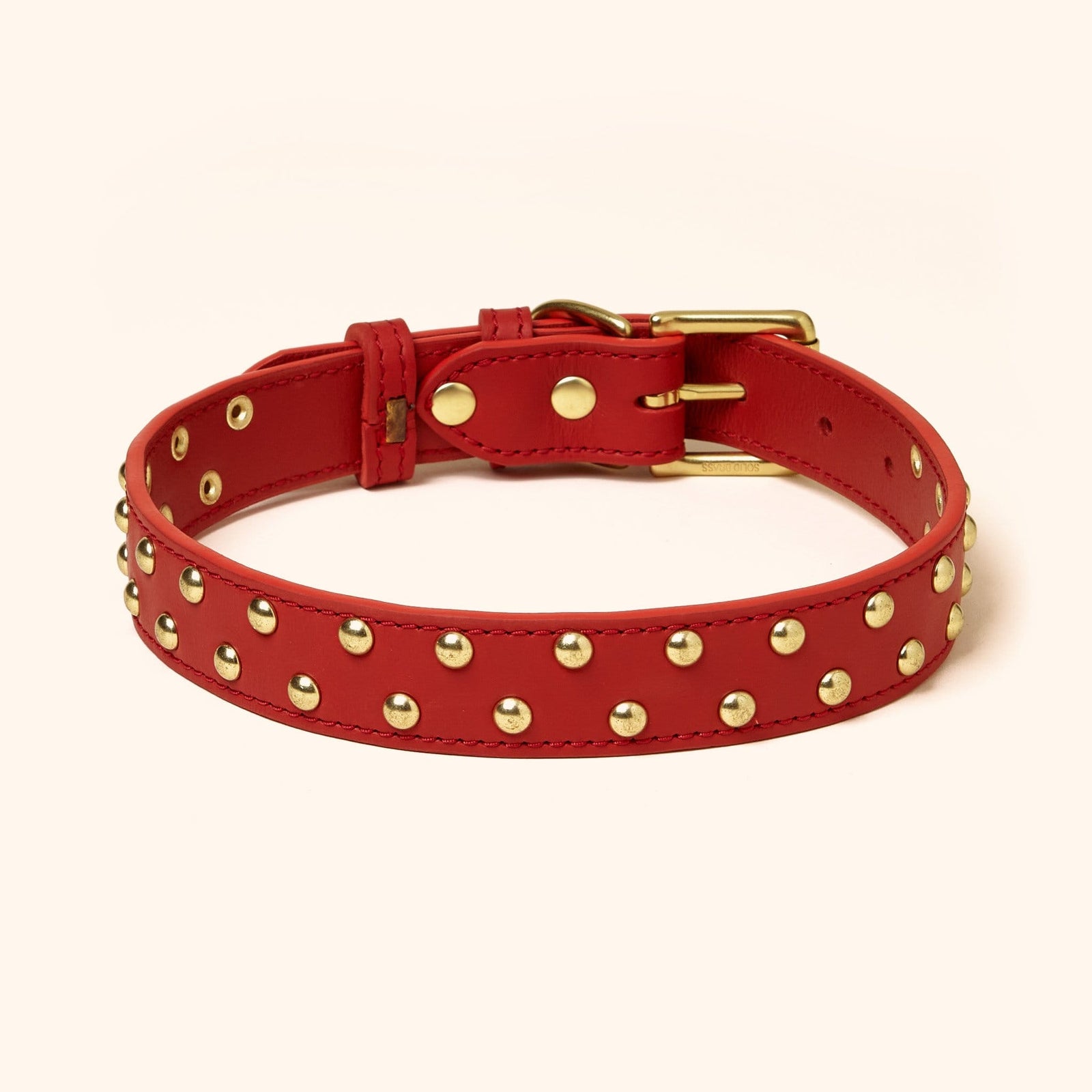 Leather Studded Collar