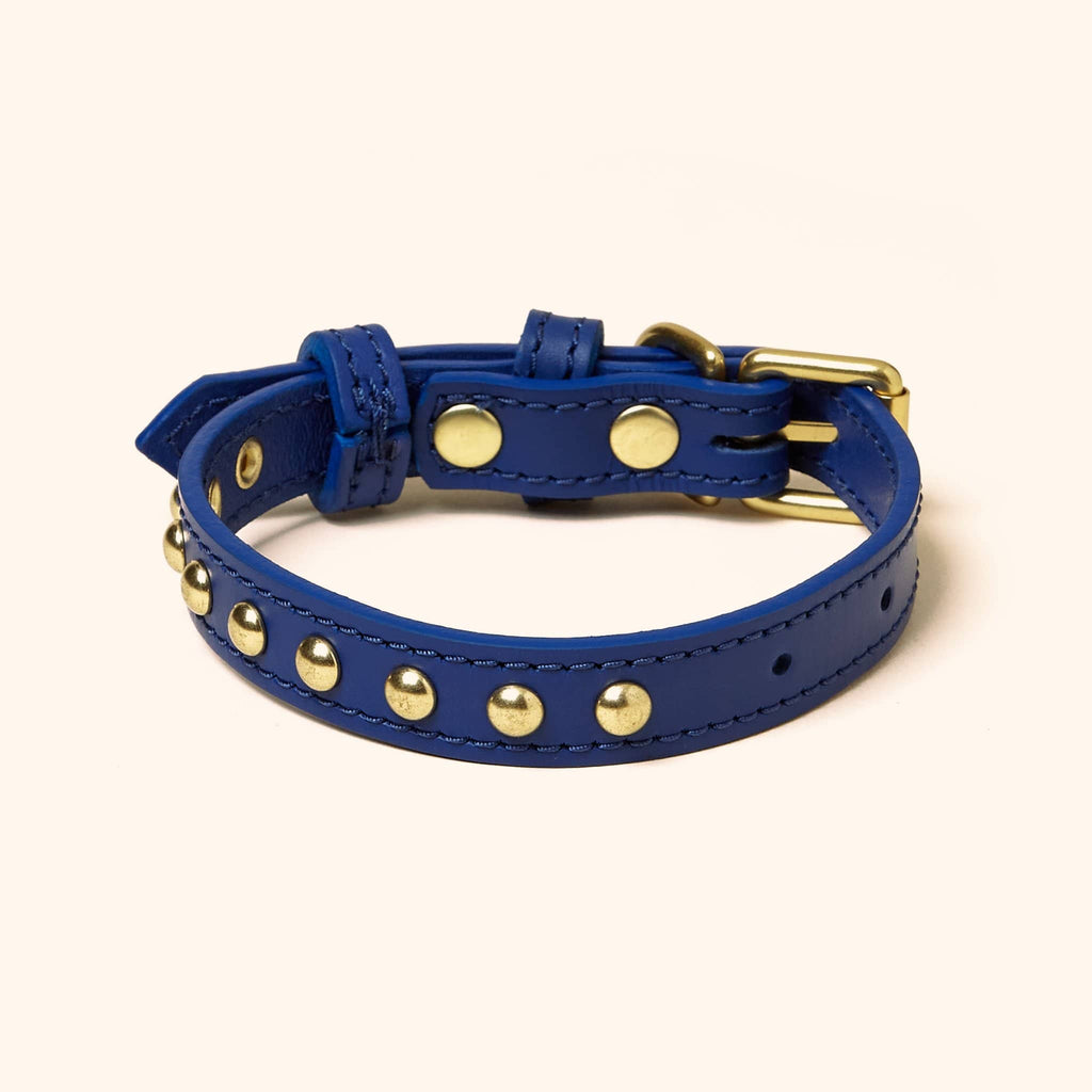 Leather Studded Collar
