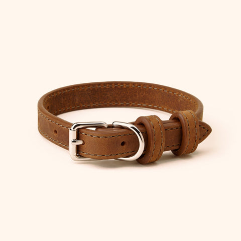 Signature Leather Dog Collar