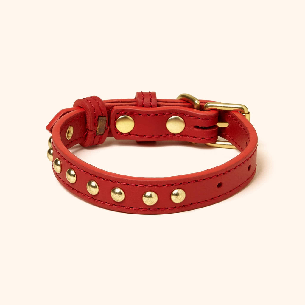 Luxus Dog Collar with Padding Red for German Shepherd 